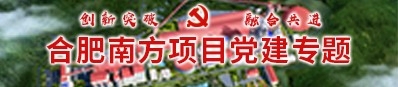 合肥南方项目党建专题